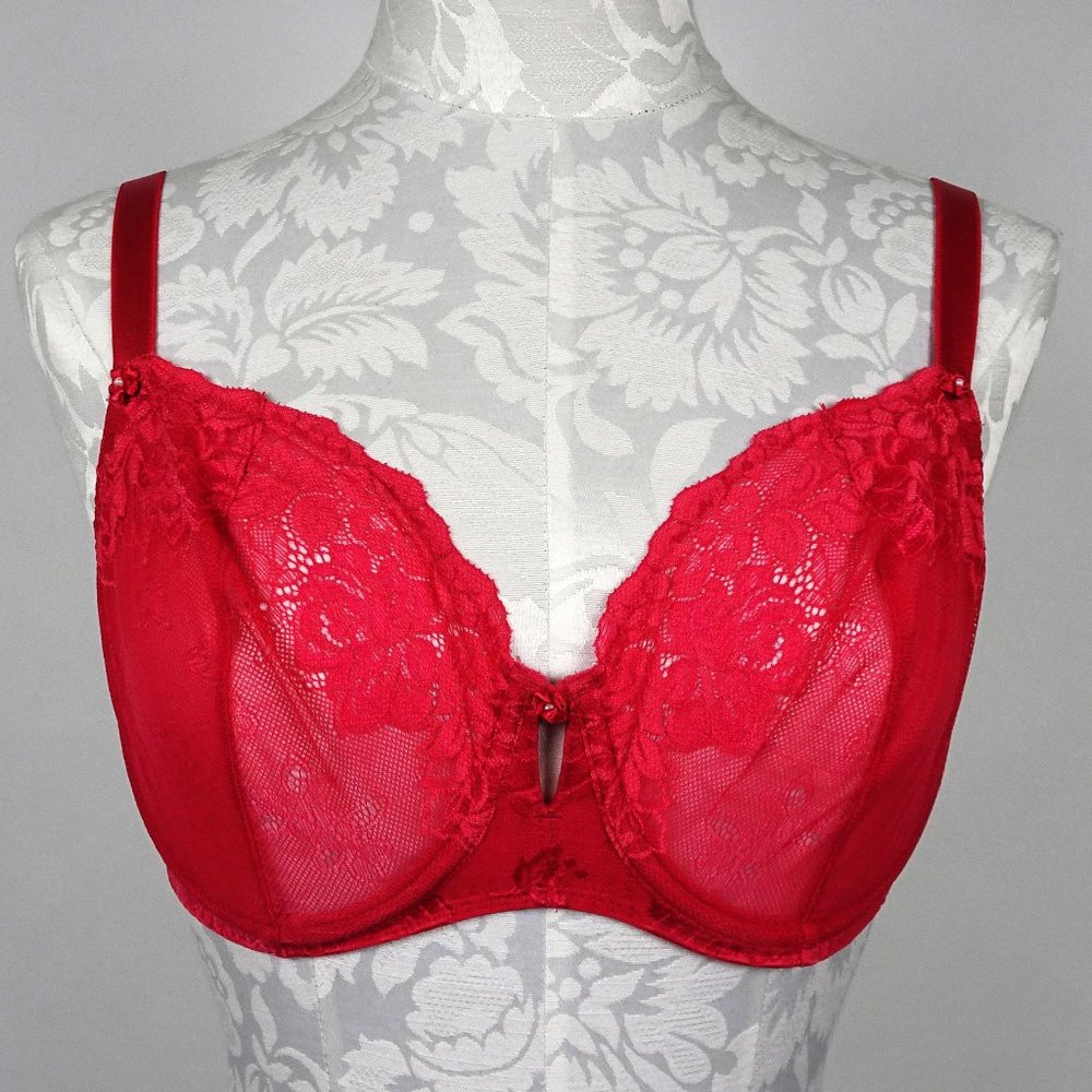 Victoria’s Secret Romantic Red Lace Jacquard Underwire Demi Bra 36DD 36 DD